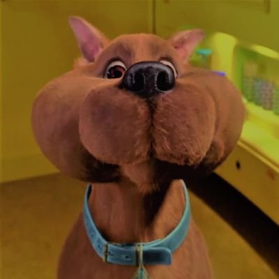 Robby's profile picture