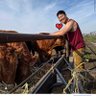 Profilbild von PursuitFarms WAGYU Farm & Shop