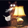 Profilbild von snapsorg