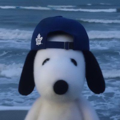 leafyymouse's profile picture