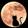 Profilbild von 猫と月