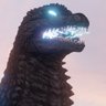 GojiRaptor profil fotoğrafı