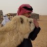 مالك الاسلمي profil fotoğrafı