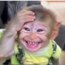 King Jaydon's profile picture