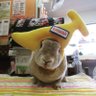 ⁑リコマイ ⁑ 的头像