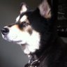 Profilbild von Miguel
