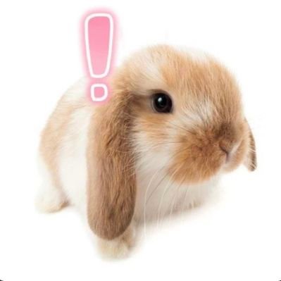 SAMYsfwSAANSAN's profile picture
