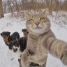 Kamen Rider profil fotoğrafı