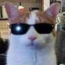 bia's profile picture