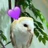 まにょ💜 的头像