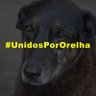 O Brasil é dos brasileiros 💫 的头像