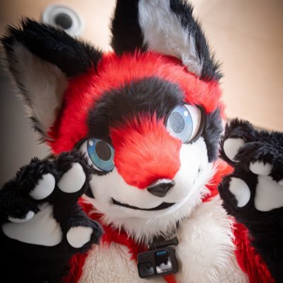 Mag_Asst's profile picture