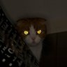 けとる's profile picture