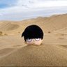 BCSWAT85 的头像
