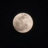 Z __T's profile picture
