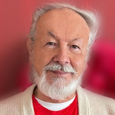 AhmedHulusi's profile picture