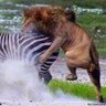 sergen yalçın profil fotoğrafı