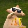 gero🤖🕶️ profil fotoğrafı