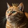 Profilbild von Fat Cat Society
