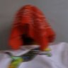 AmobiGOD profil fotoğrafı