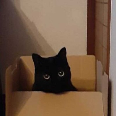 Z4k47lm02's profile picture