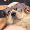 jpz (แม่น้องลูกชิ้น🍥)'s profile picture