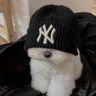 ここりん 的头像