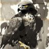 Profilbild von Taka 鷹