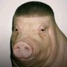 J's profile picture