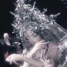 Фото профиля aeriik!!⋆𐙚₊˚⊹|🐍🕊️👟| ITZALANDS HERE!!