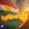 şehîdên Rojava 的头像