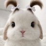 Profilbild von 生牛乳