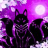 Profilbild von 十時浮羅(トトキフラ)