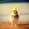 MacyG's profile picture