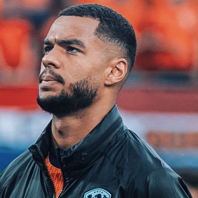 Gakpo Era 🇳🇱's profile picture