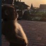 mandyyyy profil fotoğrafı