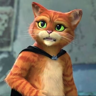LINSTAR2920511's profile picture
