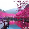 .. 的头像