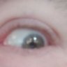 all seeing eye of dumbass 的头像