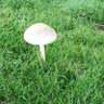 Фото профиля Joan79