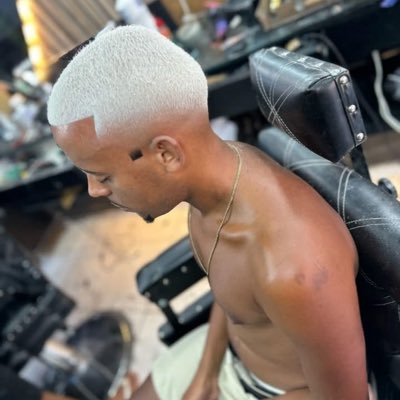 Xr do Castro's profile picture