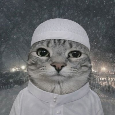 Siro's profile picture