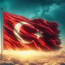 Erkan's profile picture