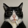 Profilbild von Rowan