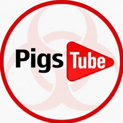 pigstube_'s profile picture