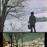 STALKER 的头像