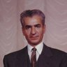 Pars Zadeh 🦁 🇮🇷 profil fotoğrafı