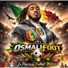 Profilbild von Osmalifoot 🇲🇱⚽