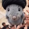 Adam's profile picture