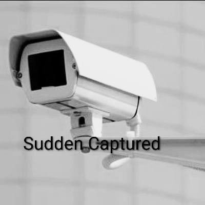 SuddenIncident's profile picture